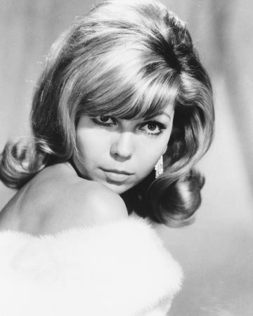 Nancy Sinatra Photograph zoom view in room