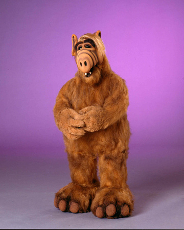 ALF Photograph ALF Photograph