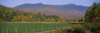 Woman Cycling on a Road, Stowe, Vermont, USA Wall Decal Woman Cycling on a Road, Stowe, Vermont, USA Wall Decal