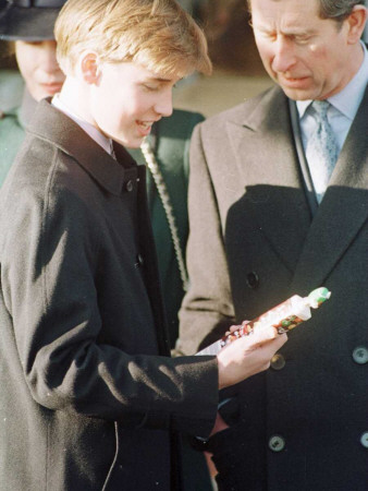 Prince+william+young