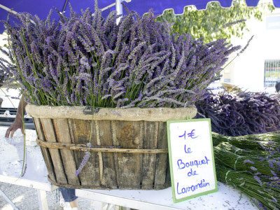 Lavender for Sale at 1 Euro a Bunch, at the Twice Weekly Famrer's Market in Coustellet Stretched Canvas Print