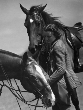 Equestrian Pursuit Stretched Canvas Print
