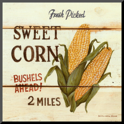 Fresh Picked Sweet Corn Mounted Print Fresh Picked Sweet Corn Mounted Print