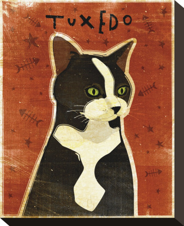 Tuxedo Stretched Canvas Print Tuxedo Stretched Canvas Print