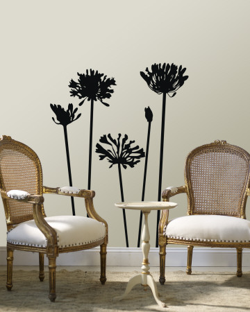 Black Agapanthus Wall Decal Black Agapanthus Wall Decal