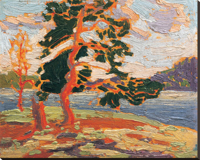 The Pine Tree Stretched Canvas Print The Pine Tree Stretched Canvas Print