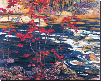 The Red Maple Stretched Canvas Print The Red Maple Stretched Canvas Print