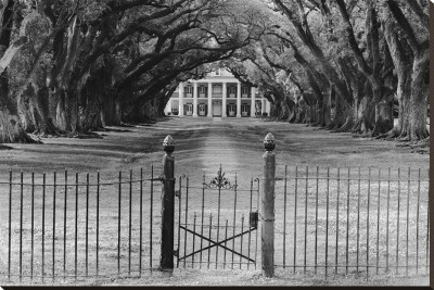Oak Alley Plantation, Louisiana Stretched Canvas Print Oak Alley Plantation, Louisiana Stretched Canvas Print