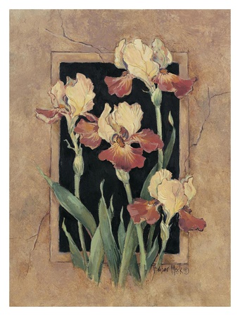 Framed Iris Print Framed Iris Print