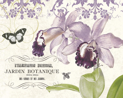 Jardin Botanique II Print Jardin Botanique II Print