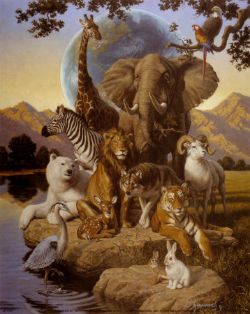 "African Animals" Print "African Animals" Print