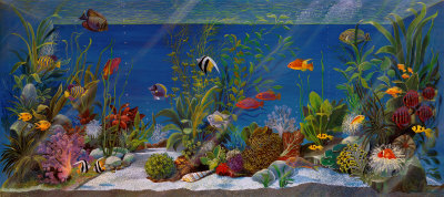 Acquario Print Acquario Print