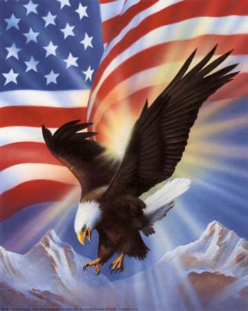 American Eagle and Flag II