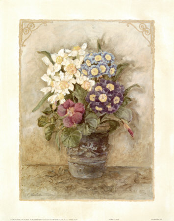 Auriculas I Print Auriculas I Print