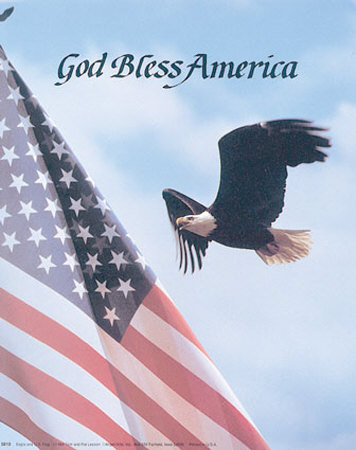 Eagle and US Flag Print Eagle and US Flag Print
