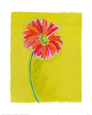 Daisy Print Daisy Print