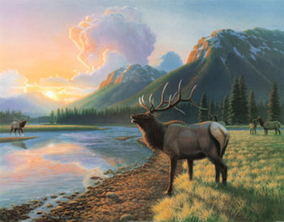 Elk I Print Elk I Print