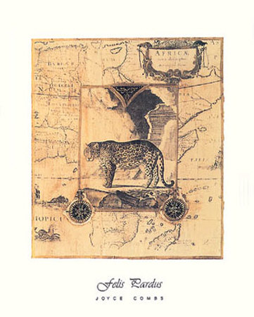Felis Pardus Print Felis Pardus Print
