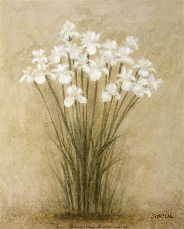 Floral Sprays Print Floral Sprays Print