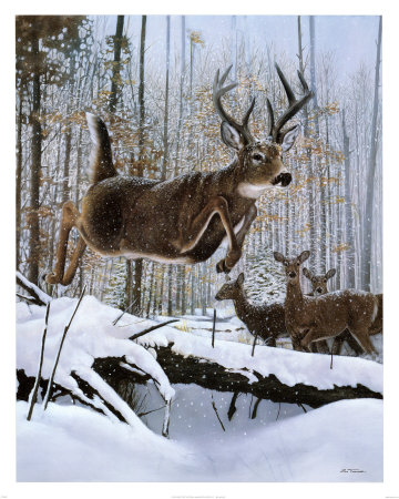 Leaping Deer Print Leaping Deer Print