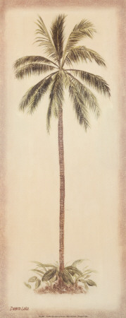 Palm Tree I Print Palm Tree I Print