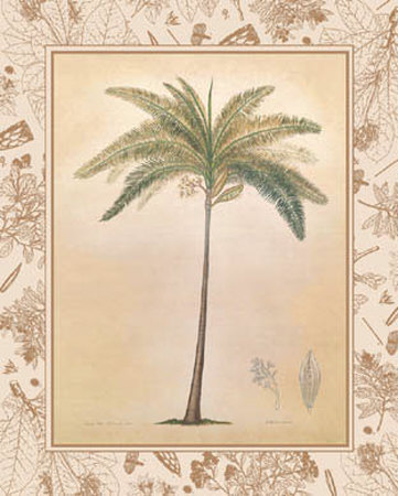 Royal Palm Print Royal Palm Print