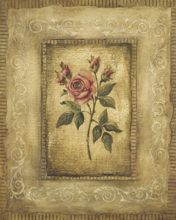 Savin Rose Print Savin Rose Print