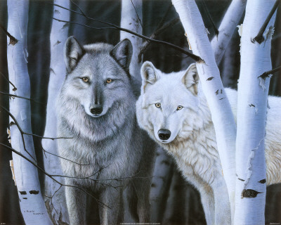 Silent Sentinals Print Silent Sentinals Print