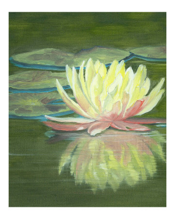 The Water Lily Giclee Print The Water Lily Giclee Print