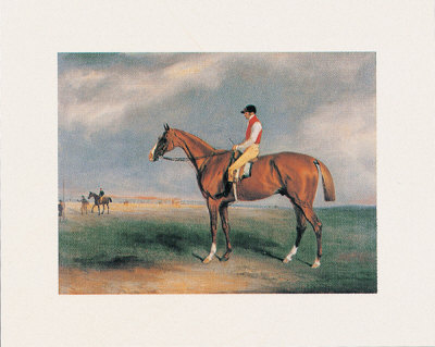 Velocipede Print Velocipede Print