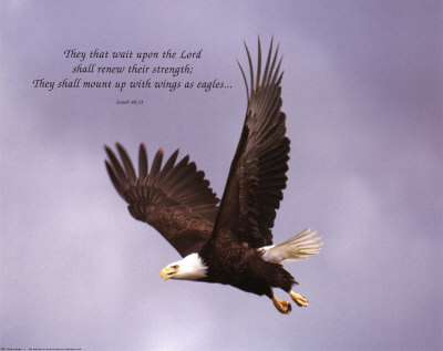 Wings as Eagles Print Wings as Eagles Print
