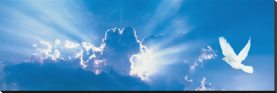 Sky and Dove Stretched Canvas Print Sky and Dove Stretched Canvas Print