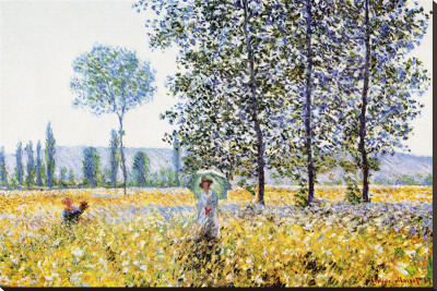 Field in Spring Stretched Canvas Print Field in Spring Stretched Canvas Print