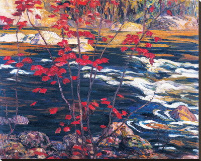 The Red Maple Stretched Canvas Print The Red Maple Stretched Canvas Print