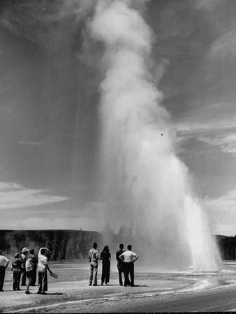 Daisy Geyser in Yellowstone National Park Stretched Canvas Print