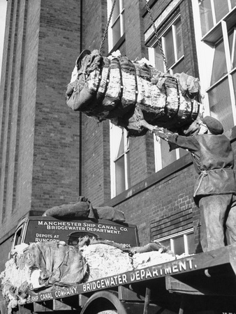 Cotton Being Hauled into Dawn Mill Stretched Canvas Print