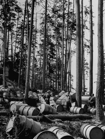 View of Bomb-Damaged Oil Storage Depot in the Woods after Allied Air Raid Stretched Canvas Print