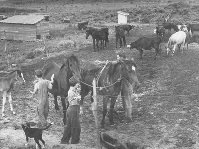John Barnett and His Two Sons Working on their Farm in the Dust Bowl Stretched Canvas Print