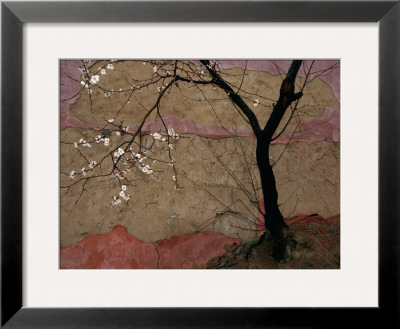 Plum Tree against a Colorful Temple Wall Framed Photographic Print Plum Tree against a Colorful Temple Wall Framed Photographic Print