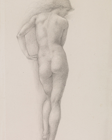 Nude study of Andromeda Stretched Canvas Print