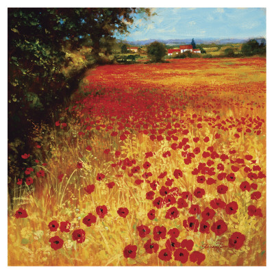 Field of Red and Gold Print Field of Red and Gold Print