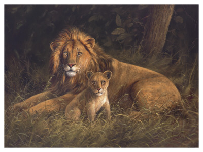 Lion and Cub Print Lion and Cub Print