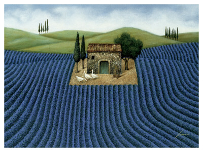 Lavender Field Print Lavender Field Print