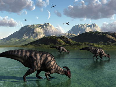 A Group of Parasaurolophus Dinosaurs Feed from a Freshwater Lake Stretched Canvas Print