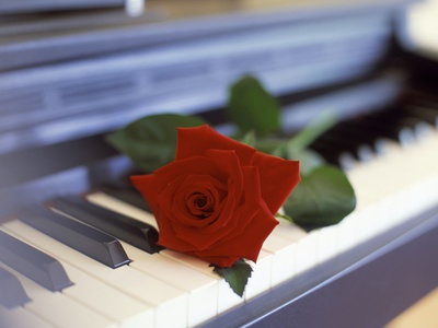 Red Rose on Piano Stretched Canvas Print