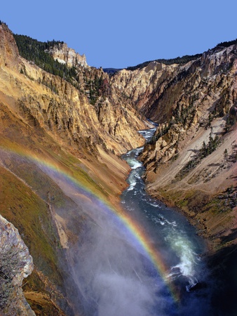 Rainbow over Lower Yellowstone Falls Stretched Canvas Print