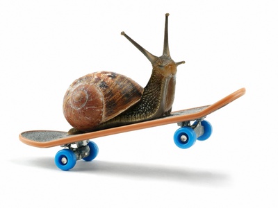Snail Riding Skateboard Stretched Canvas Print