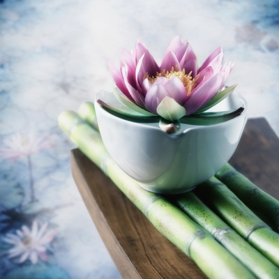 Lotus Flower Balanced on a Bowl Stretched Canvas Print