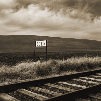 Eden Stretched Canvas Print