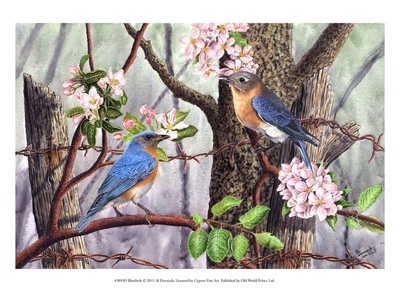Bluebirds Print Bluebirds Print